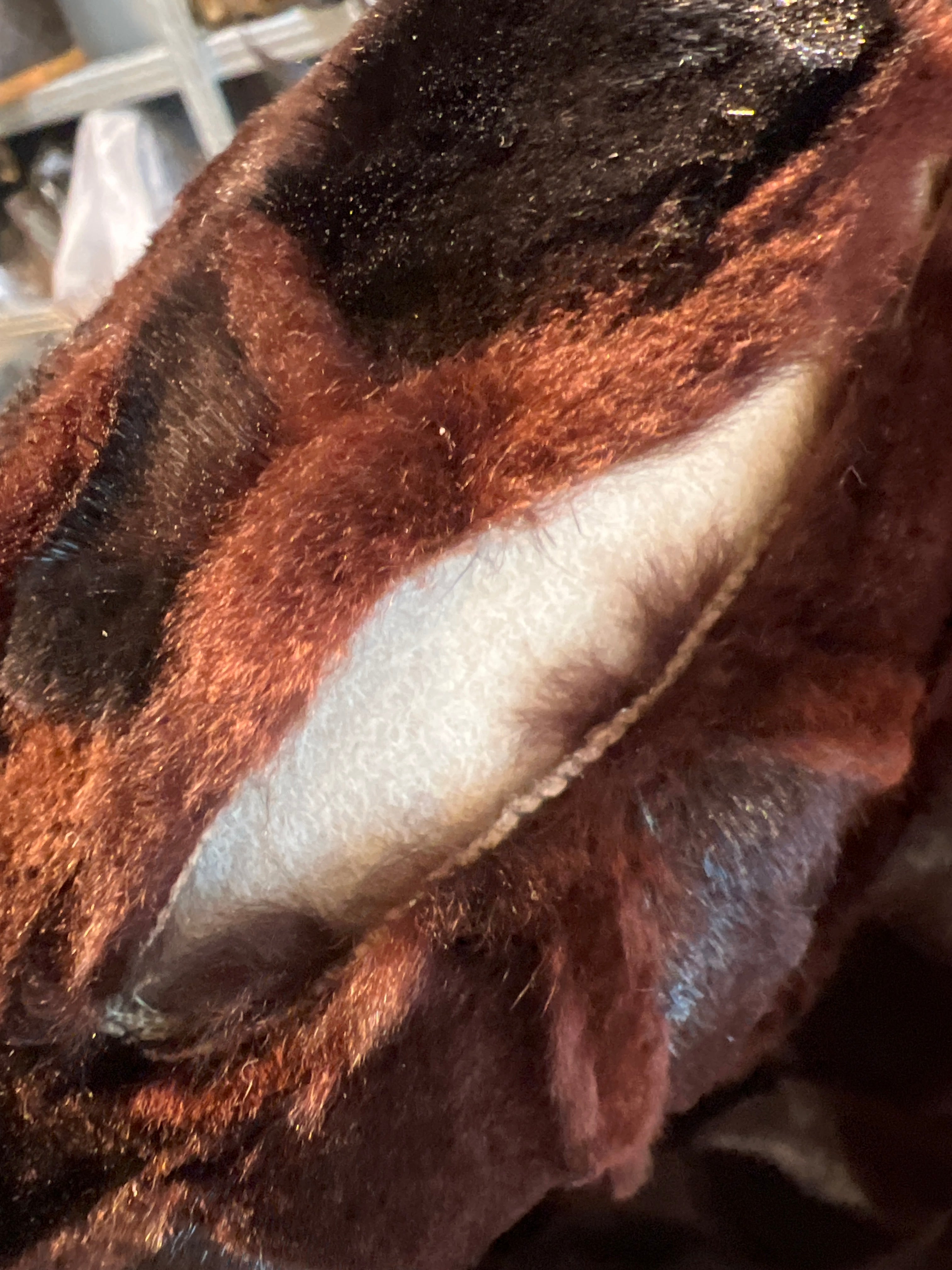 Valentino Coats & Jackets