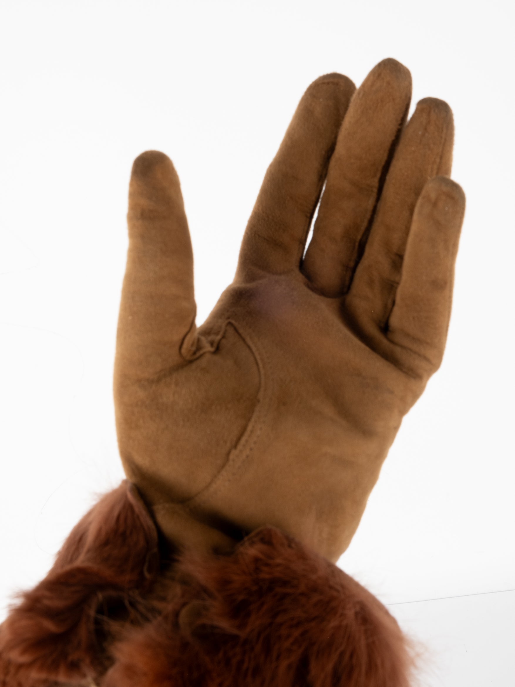 LOEWE Gloves