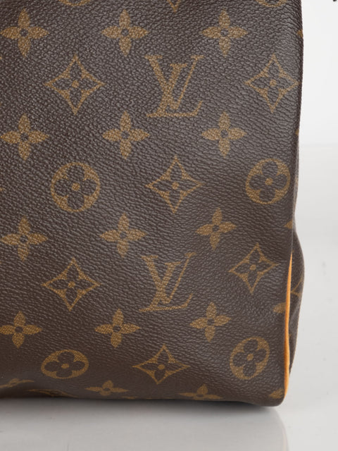 Louis Vuitton Handbags