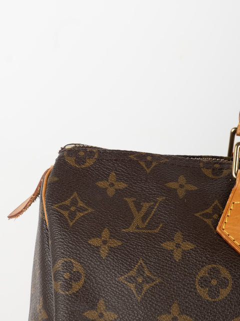 Louis Vuitton Handbags