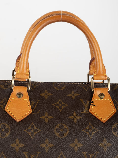 Louis Vuitton Handbags