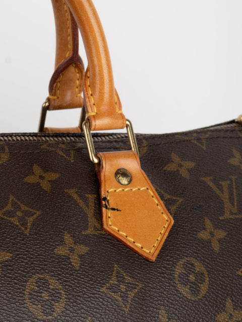 Louis Vuitton Handbags