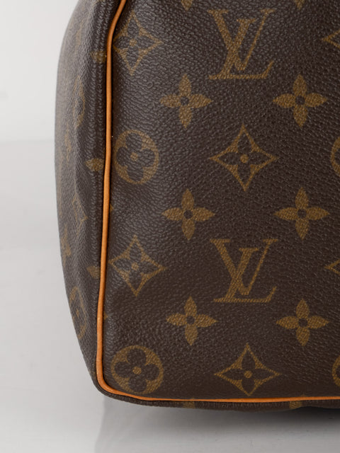 Louis Vuitton Handbags