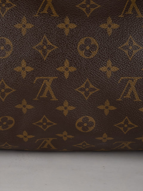 Louis Vuitton Handbags