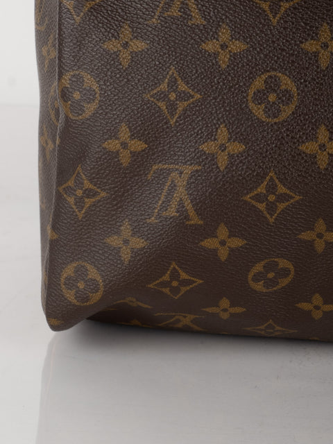 Louis Vuitton Handbags