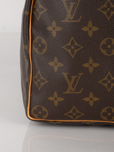 Louis Vuitton Handbags