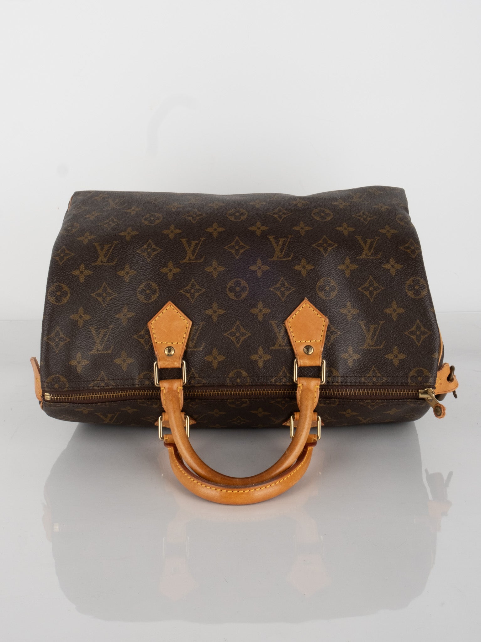 Louis Vuitton Handbags
