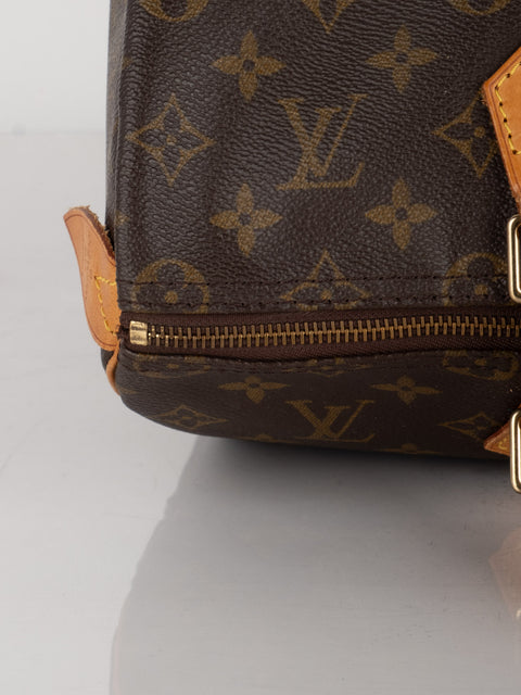 Louis Vuitton Handbags