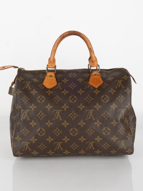 Louis Vuitton Handbags