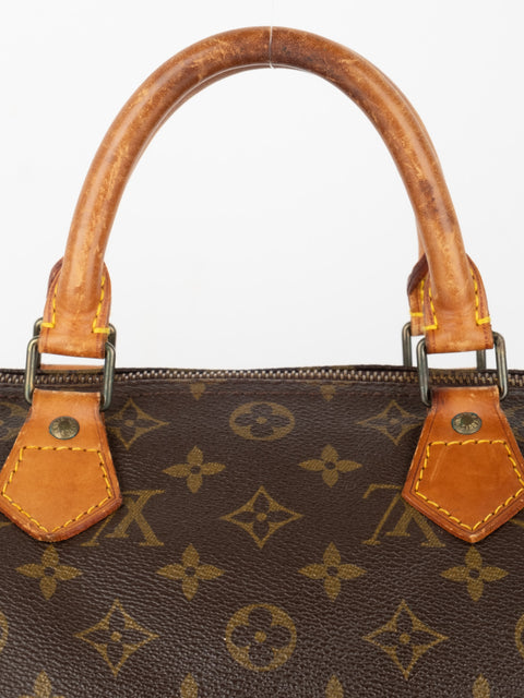 Louis Vuitton Handbags