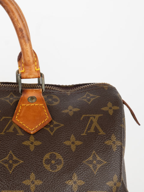 Louis Vuitton Handbags