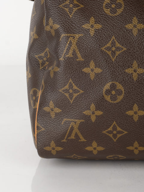 Louis Vuitton Handbags
