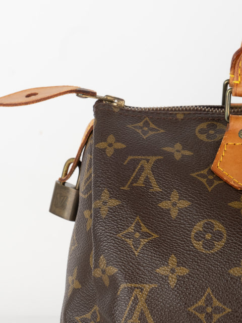Louis Vuitton Handbags