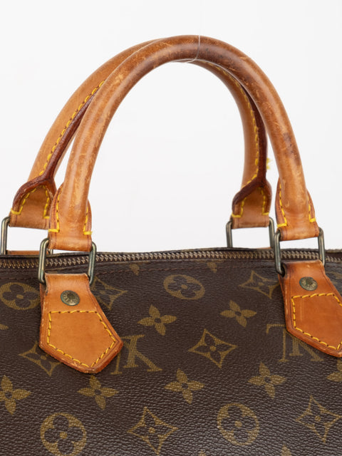 Louis Vuitton Handbags