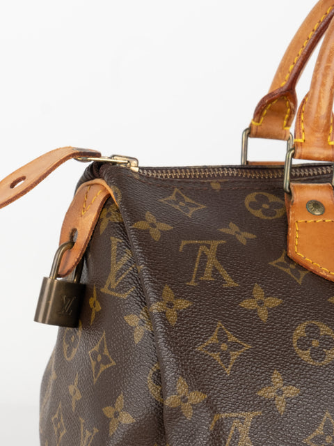 Louis Vuitton Handbags