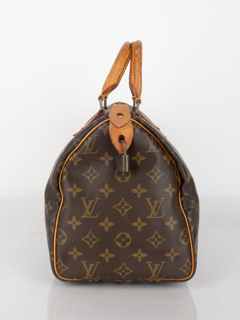 Louis Vuitton Handbags