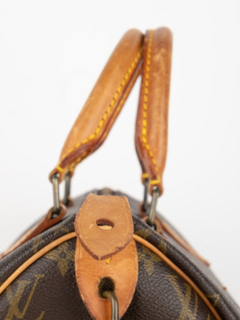 Louis Vuitton Handbags