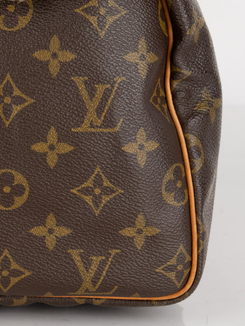 Louis Vuitton Handbags