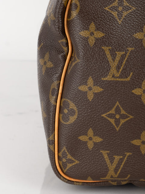 Louis Vuitton Handbags