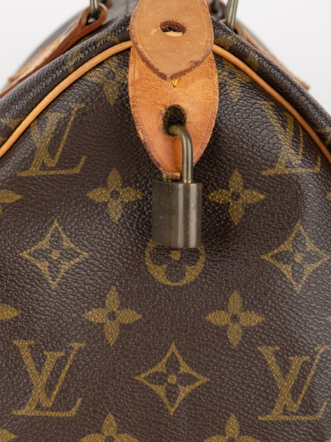 Louis Vuitton Handbags