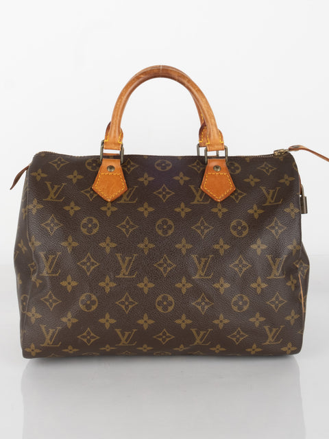 Louis Vuitton Handbags