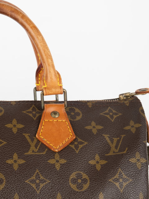 Louis Vuitton Handbags