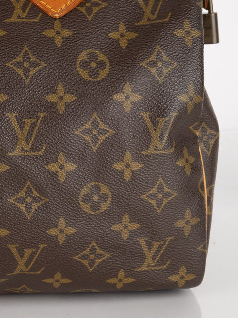 Louis Vuitton Handbags