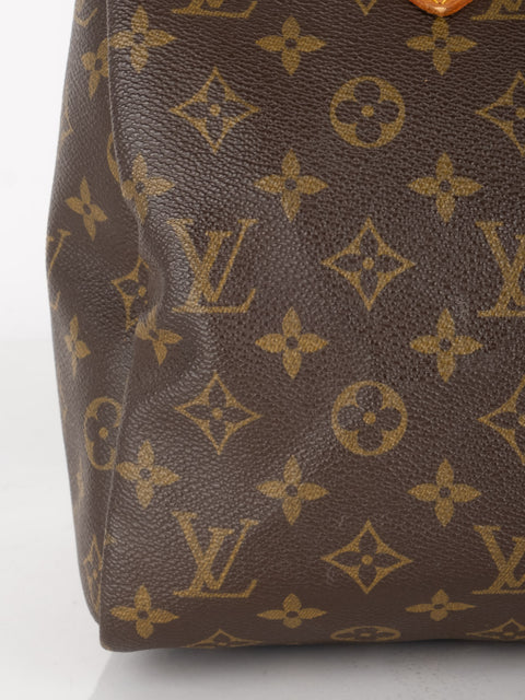 Louis Vuitton Handbags