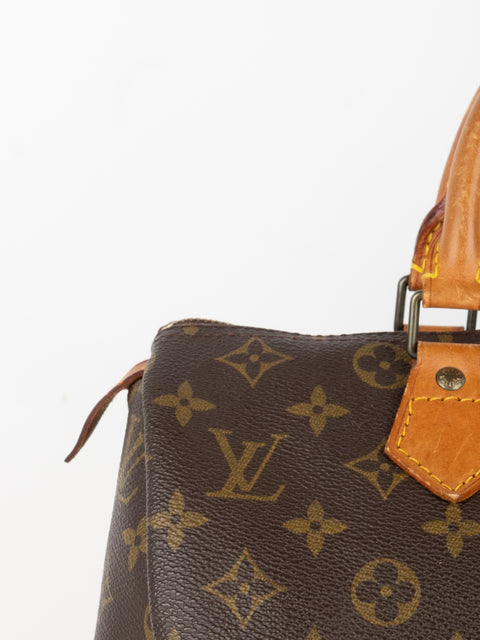 Louis Vuitton Handbags