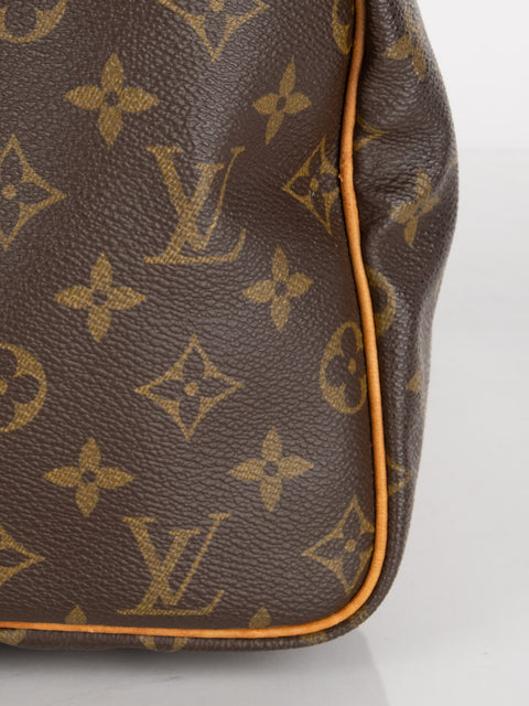 Louis Vuitton Handbags
