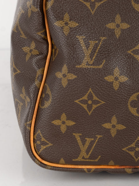 Louis Vuitton Handbags