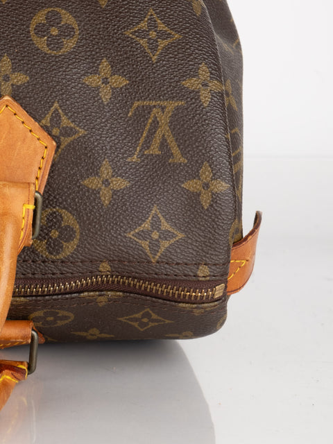 Louis Vuitton Handbags