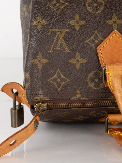 Louis Vuitton Handbags