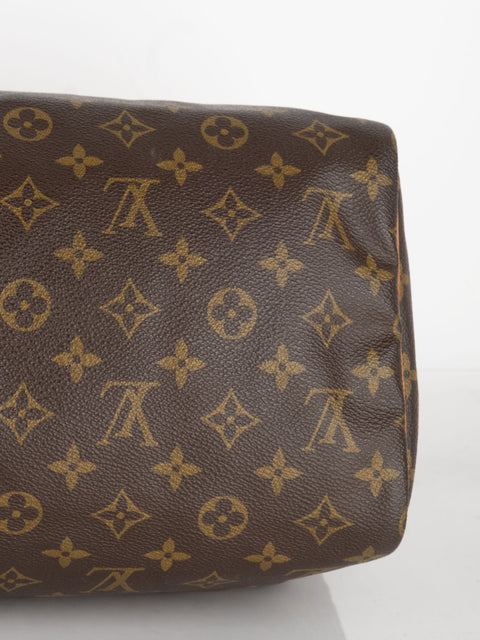 Louis Vuitton Handbags