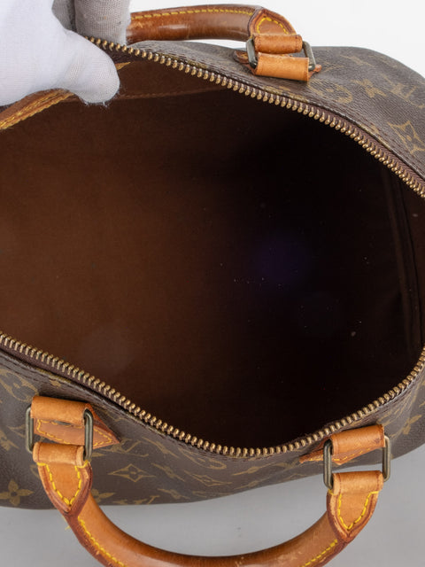 Louis Vuitton Handbags